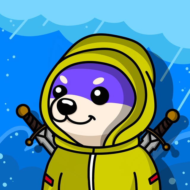 Rain, NFT4.Space dev